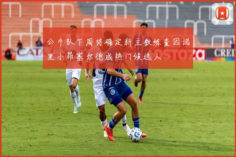 公牛队下周将确定新主教练奎因诺里小昂塞尔德成热门候选人